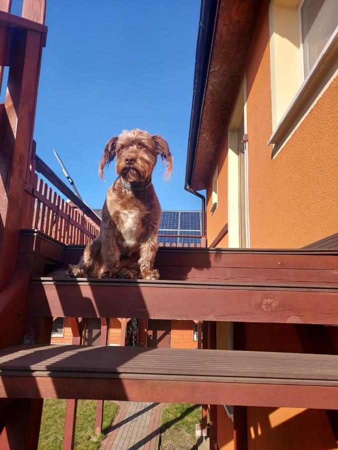 Siedlisko Na Zaciszu Apartamenty Kąty Rybackie エクステリア 写真